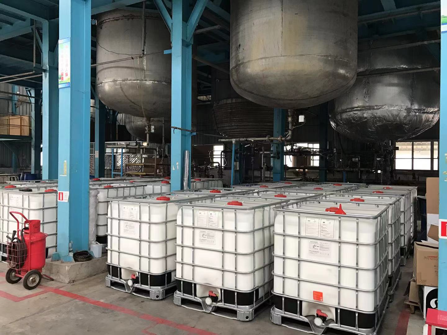 Adhesive glue plant